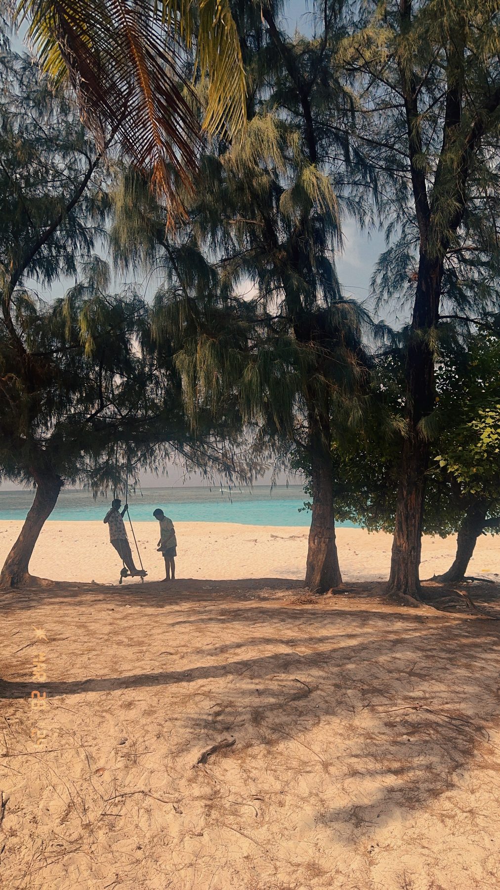 Lakshadweep series — casuarina shade on the beach
