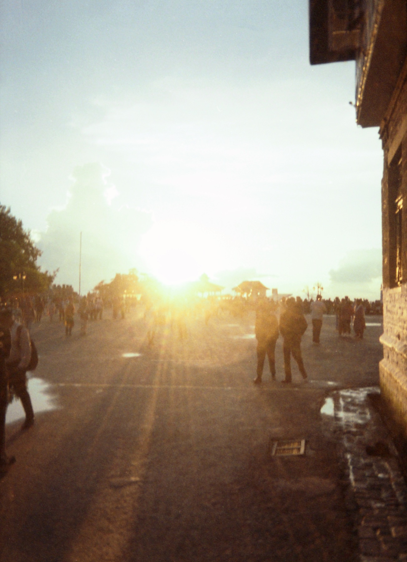 Shimla — frame 02
